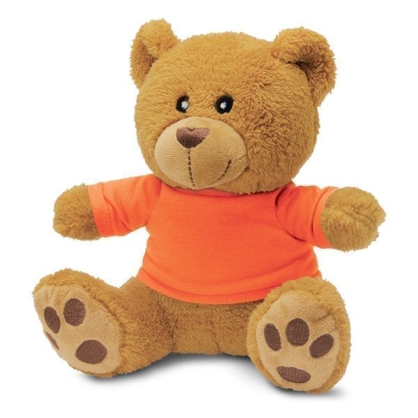 Teddy Bear Plush Toy - Express Promo