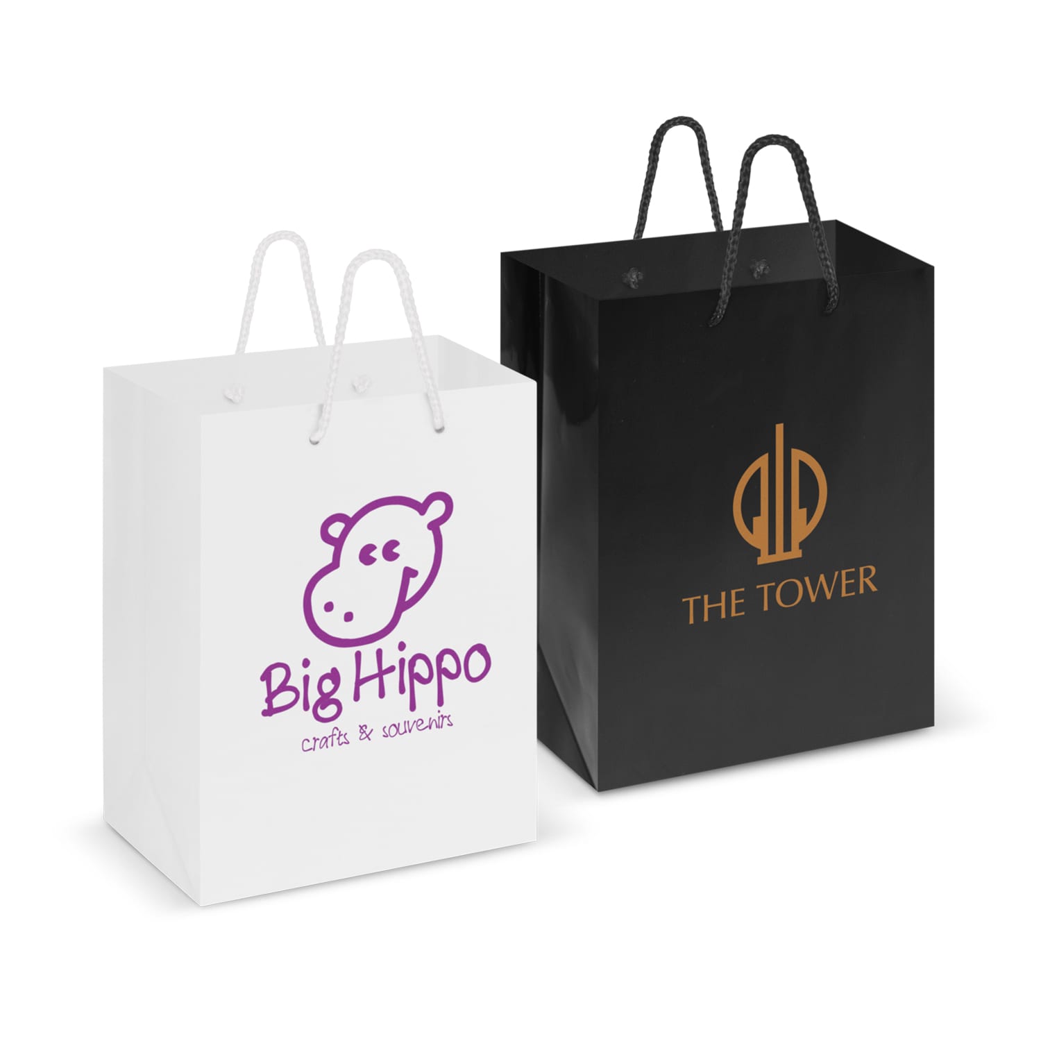 Gift Bags Laminated Carry Bag – Medium -