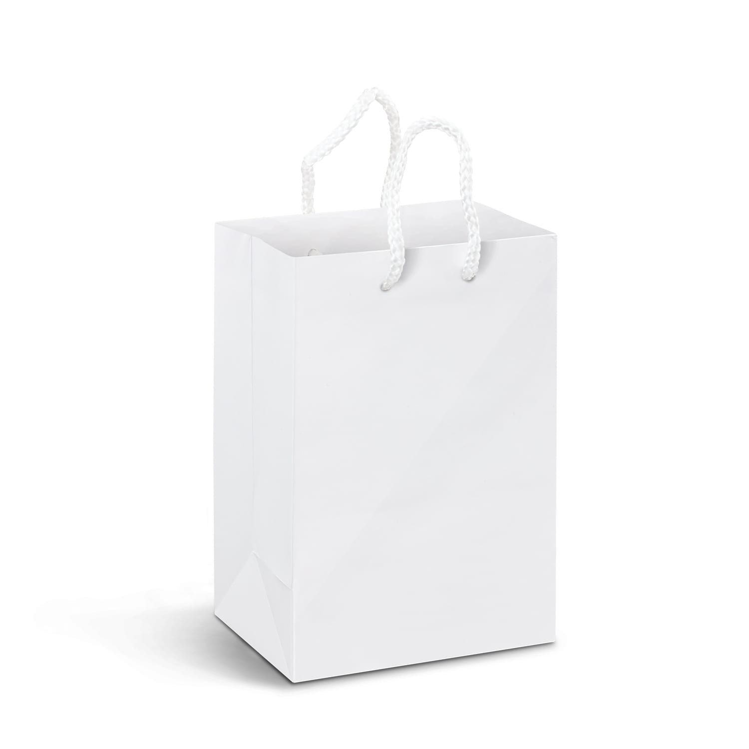 Gift Bags Small Laminated Paper Carry Bag – Full Colour -