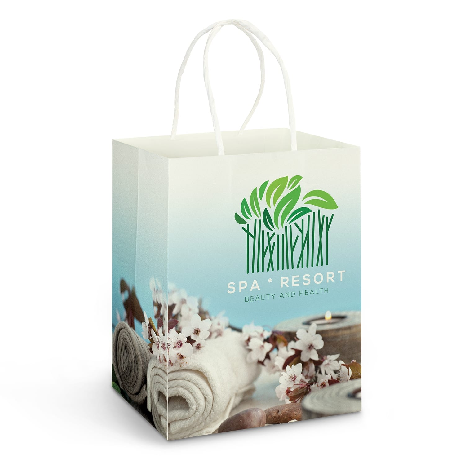 Gift Bags Medium Laminated Paper Carry Bag – Full Colour aEUR"