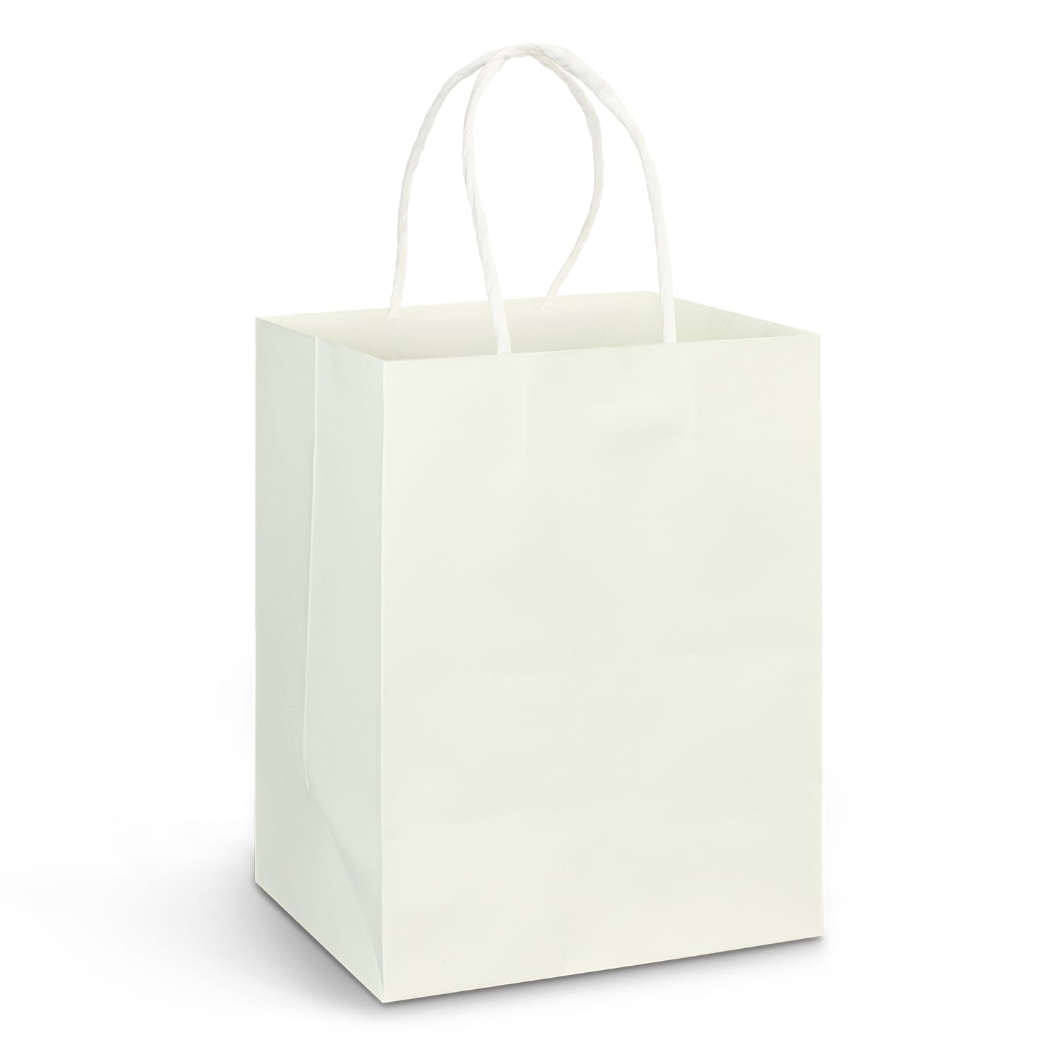 Gift Bags Large Paper Carry Bag – Full Colour -