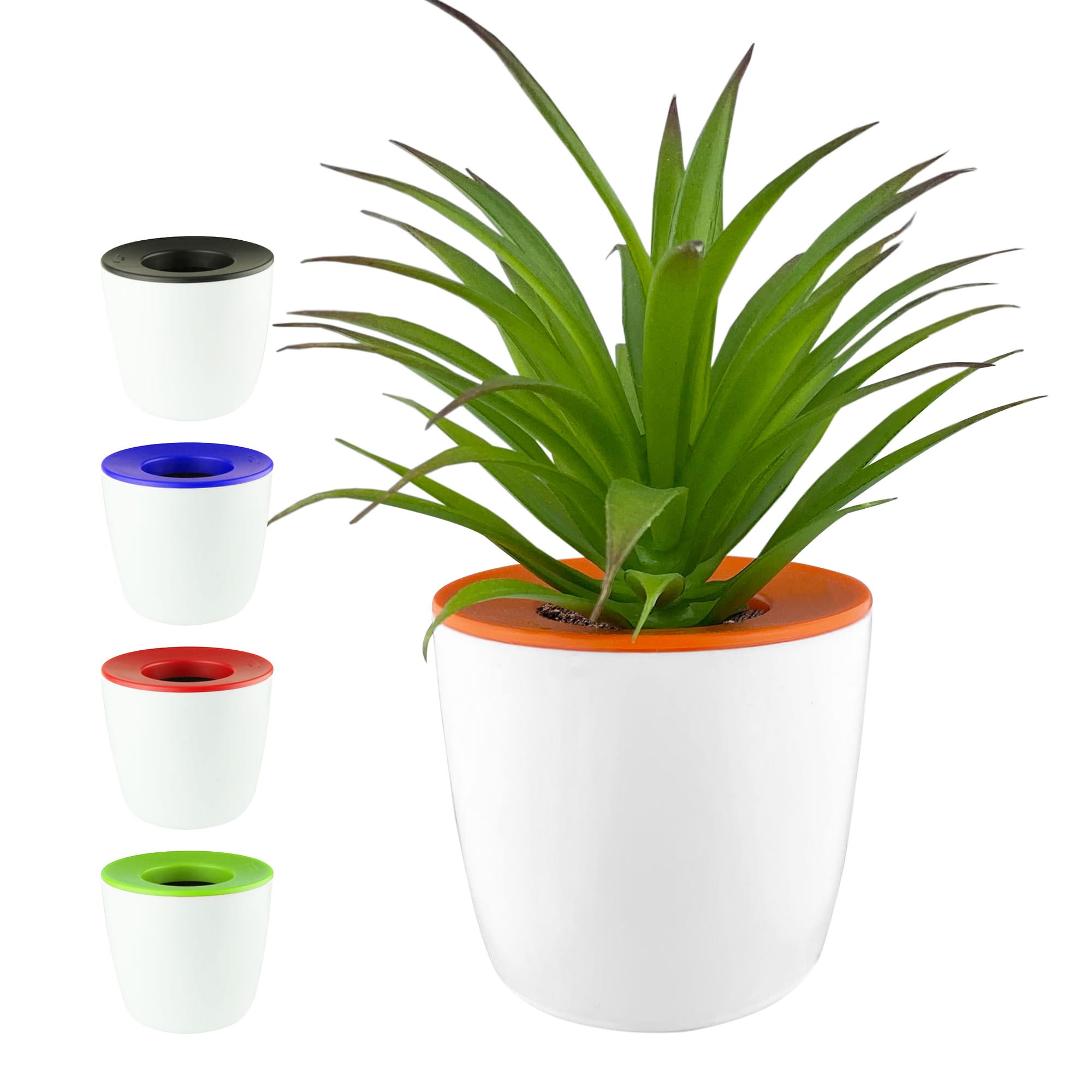 Desk Items Mini Desk Plant Pot Plant